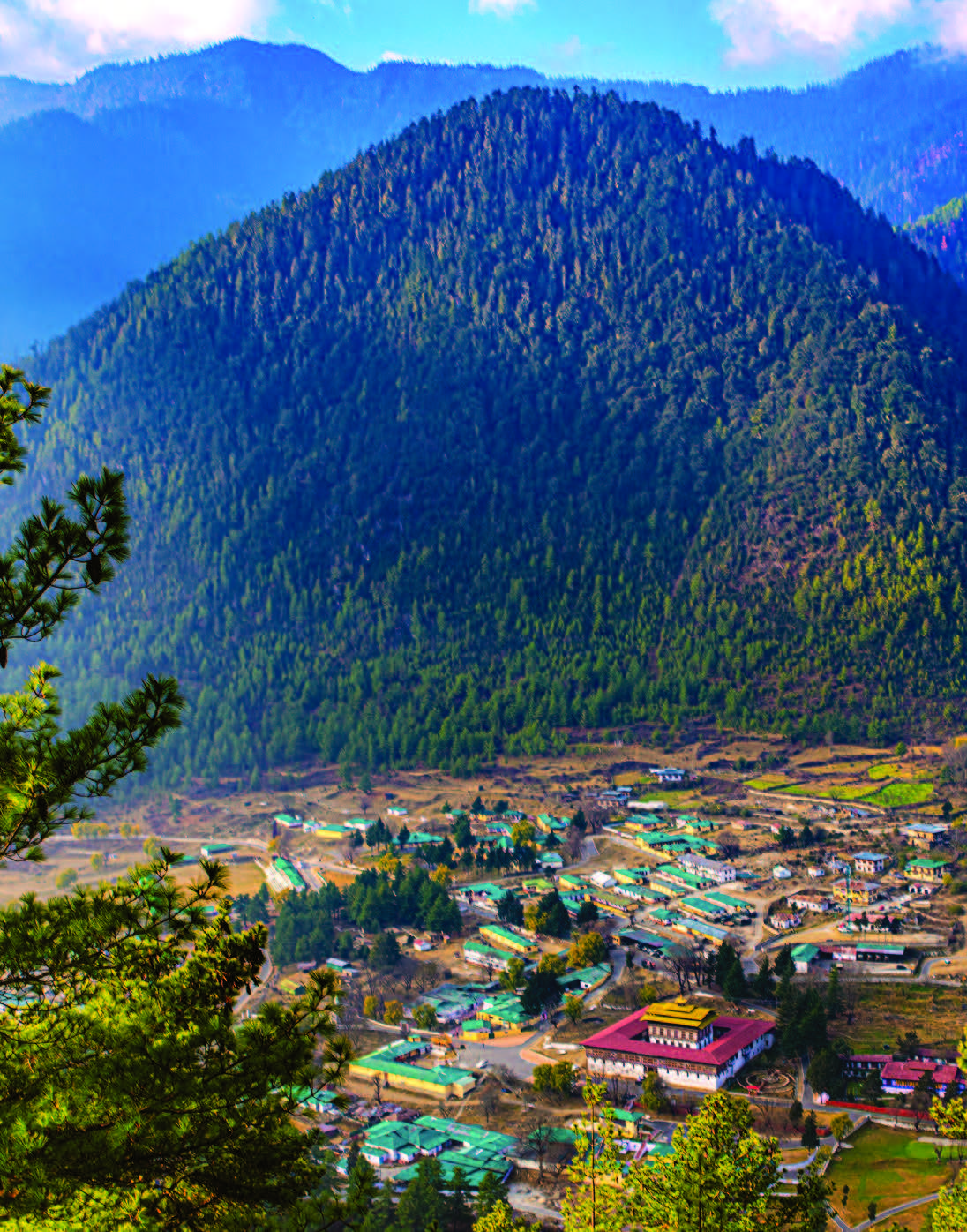 Haa valley town nestled beneath pine-covered mountains
